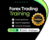 7-Day Forex Mastery Training – Learn & Earn